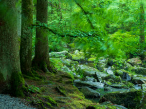 Saußbachklamm near Waldkirchen, Bavarian Forest, Bavaria, Germany Saußbachklamm near Waldkirchen, Bavarian Forest, Bavaria, Germany